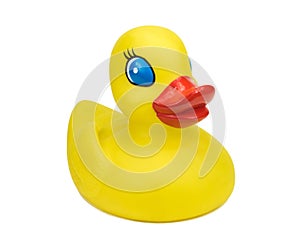 Yellow Mother Duck