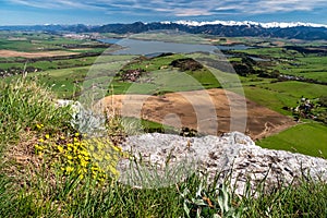 Yellow mountain flowers on top of the hill. View from rock on lake  and snowy mountains