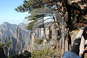 Yellow Mountain - Huangshan, China.