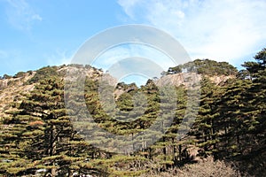 Yellow Mountain - Huangshan, China.