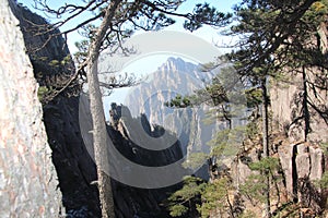 Yellow Mountain - Huangshan, China. photo