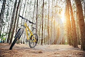 A yellow MTB bicycle along