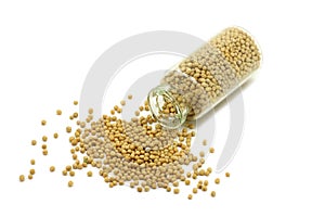 Yellow mustard grains in a glass vial