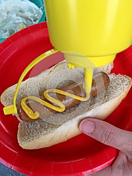 Yellow mustard and hotdog