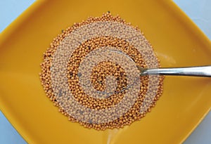 Yellow mustard seeds in a bowl in isolated white background photo