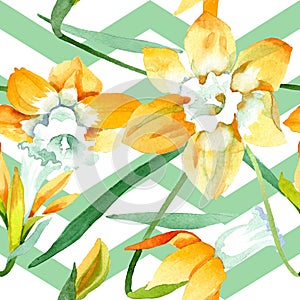 Yellow narcissus floral botanical flower. Watercolor background illustration set. Seamless background pattern