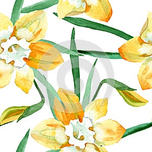 Yellow narcissus floral botanical flower. Watercolor background illustration set. Seamless background pattern