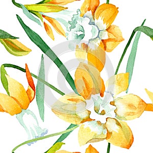 Yellow narcissus floral botanical flower. Watercolor background illustration set. Seamless background pattern