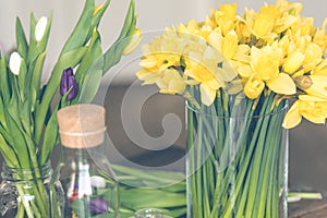 Yellow narcissuses bouquet in a glass vase