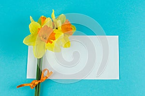 Yellow narcissuses bouquet and paper card