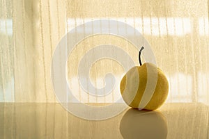 Yellow nashi pear fruit still life with sunlight white curtain background