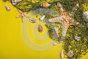 Yellow nautical background with sea shells, starfishes and fishing net. Assorted marine animals