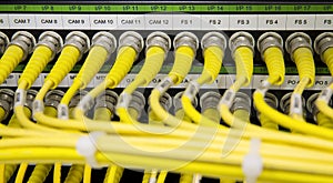 Yellow Network cables connected to the server