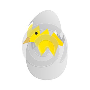 Yellow newborn chicken hatched from an egg icon