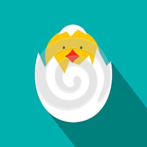 Yellow newborn chicken hatched from the egg icon