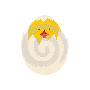 Yellow newborn chicken hatched from the egg icon