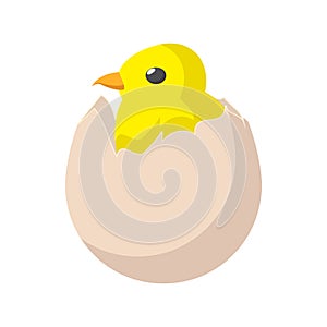 Yellow newborn chicken hatched from the egg icon