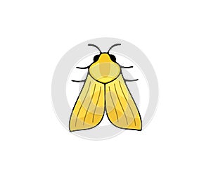 Yellow nocturnal moth, butterfly and moth, logo design. Flying insects, nature, entomology and entomological, vector design