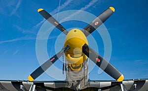 Yellow nose of a P-51 Mustang