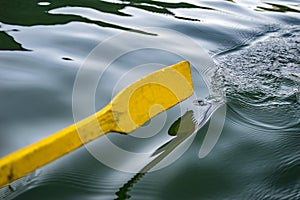 Yellow oar above water