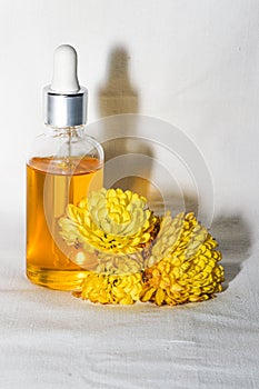 Yellow oil with a jar with a pipette isolated on a white background. Next to the chrysanthemum flower