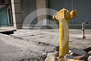 Yellow fire hydrant outdoor