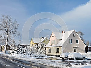 Yellow old hoses in winter, Lithuania