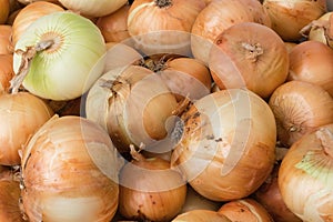 Yellow onions, farmers market