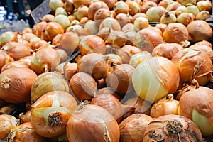 Yellow onions on market stall. Unpeeled onions in box. Onion bulbs background. Heap of organic vegetables.