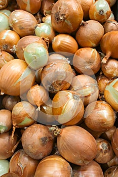 Yellow onions on market stall. Unpeeled onions in box. Onion bulbs background. Heap of organic vegetables.