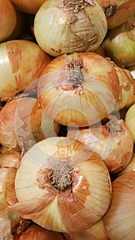 Yellow Onions at a Produce Stand