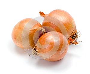 Yellow onions