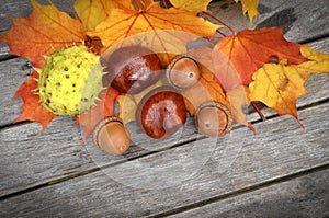 Yellow and orange autumn leaves on old wood background.