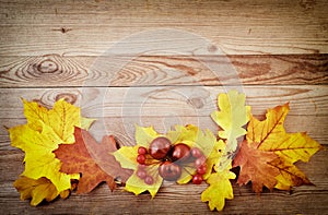Yellow and orange autumn leaves on old wood background.