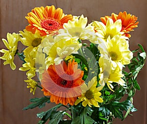 Yellow and orange chrysanthemums