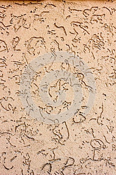 Yellow or orange concrete wall texture as a background.