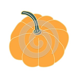 Yellow-orange pumpkin with a long petiole.