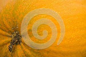 Yellow-orange pumpkin vortex