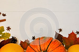 Yellow and orange pumpkins and corn with autumn decor on white wooden background for harvest fall and thanksgiving theme. cornucop