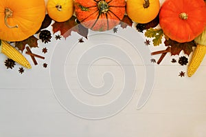 Yellow and orange pumpkins and corn with autumn decor on white wooden background for harvest fall and thanksgiving theme. cornucop