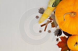 Yellow and orange pumpkins and corn with autumn decor on white wooden background for harvest fall and thanksgiving theme. cornucop