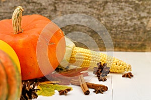 Yellow and orange pumpkins and corn with autumn decor on white wooden background for harvest fall and thanksgiving theme. cornucop