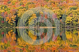 Yellow and orange reflections of fall colors at Monroe Lake