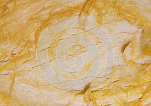 Yellow-orange texture of grated vegetable pumpkin filling for vegetarian lunch