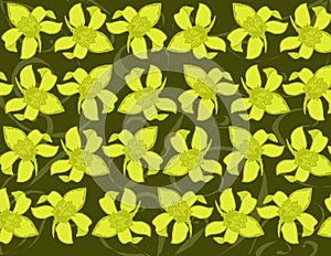 Yellow Orchid Background