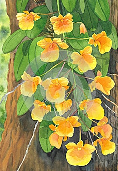 Yellow orchid flower bouquet attach on the tree