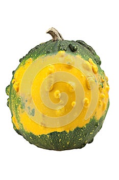 Yellow ornamental pumpkin