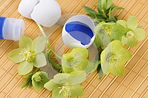 Yellow pad and Easter decoration with egg shells and hellebore plus tempera paint