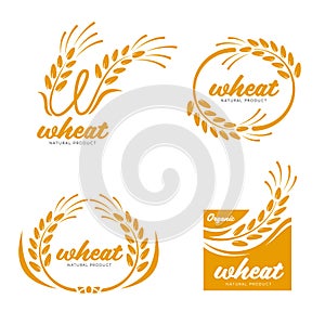 Yellow Paddy Wheat rice grain products food banner sign logo vector art design