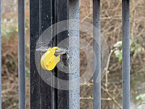 Yellow padlock on locked gate.